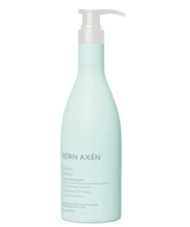 Зволожуючий шампунь для волосся Bjorn Axen Moisture Shampoo, 750 мл