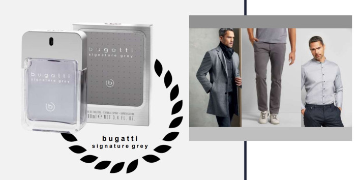 Туалетная вода для мужчин Bugatti Signature Grey, 100 мл