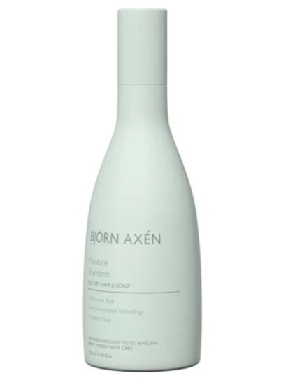 Зволожуючий шампунь для волосся Bjorn Axen Moisture Shampoo, 250 мл