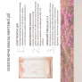Маска для лица Needly Peony Jelly Mask, 33 мл